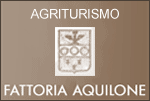 AGRITURISMO FATTORIA AQUILONE - SAN VENANZO - TERNI - TR