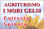 AGRITURISMO I MORI GELSI - TORGIANO - PG