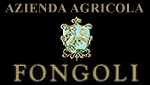 AZIENDA AGRICOLA FONGOLI - MONTEFALCO - PG